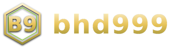 bhd999 logo